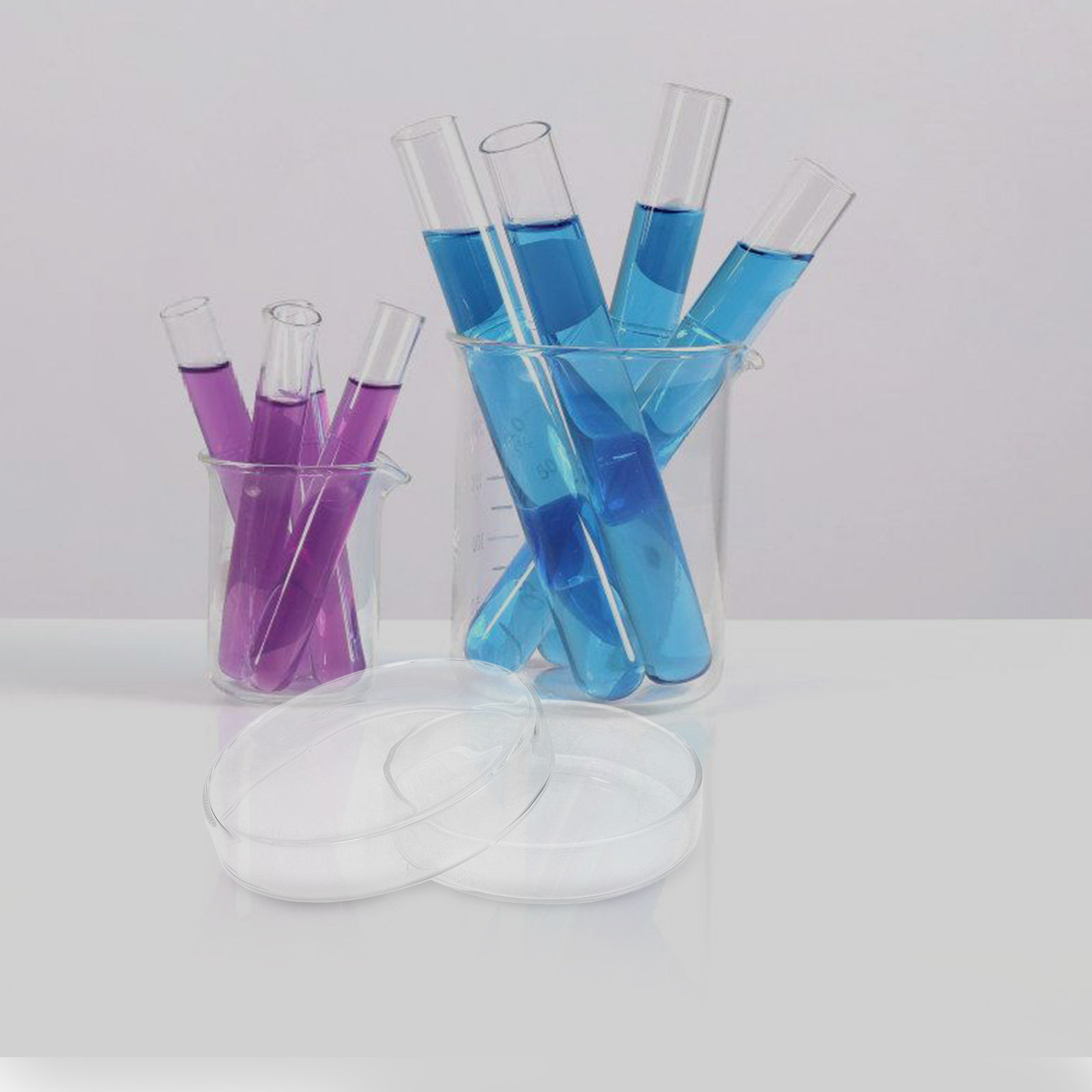 Agar Tissue Culture - High Borosilicate Glass Petri Dish Tissue