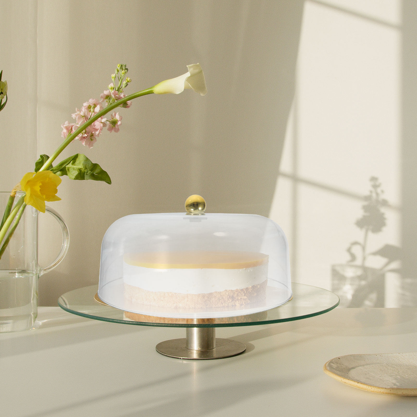 Clear Cake Dome Plastic Pastry - đánh giá và giá Plastic Dome Clear
