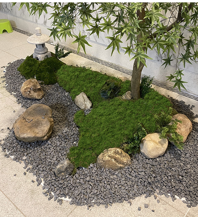 Artificial moss filaments moss - đánh giá và giá Sphagnum Moss Dry