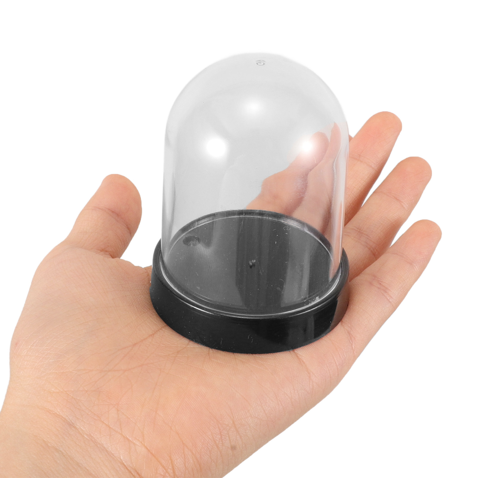 5 sets Dome Display Decorative - đánh giá và giá Plastic Dome Clear