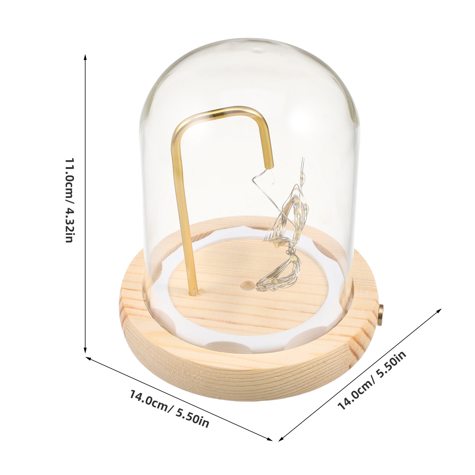 Glass Display Dome Wood Base L - đánh giá và giá Plastic Dome Clear