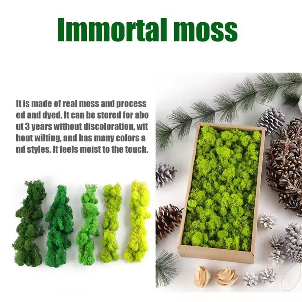 200/500g Eternal Life Fake Mos - đánh giá và giá Sphagnum Moss Dry